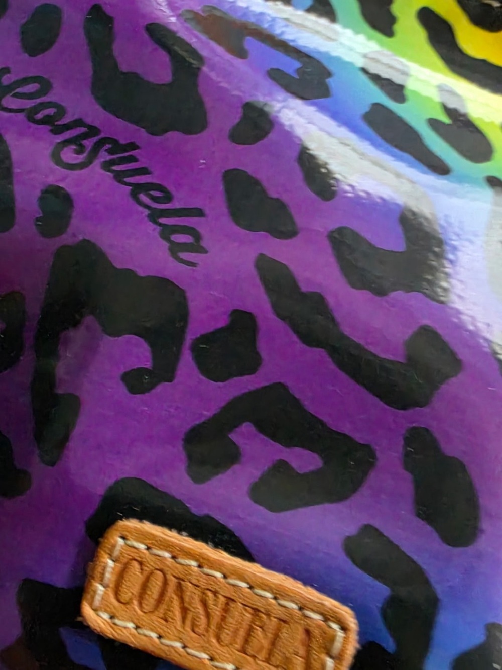 Consuela Rainbow Leopard Crossbody in Purple and Multicolor - Picture 7 of 7